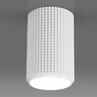 Накладной светильник Elektrostandard DLN112 a048144. Фото №1