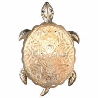 Накладной светильник Favourite Turtle 2256-1W фото Накладной светильник Favourite Turtle 2256-1W