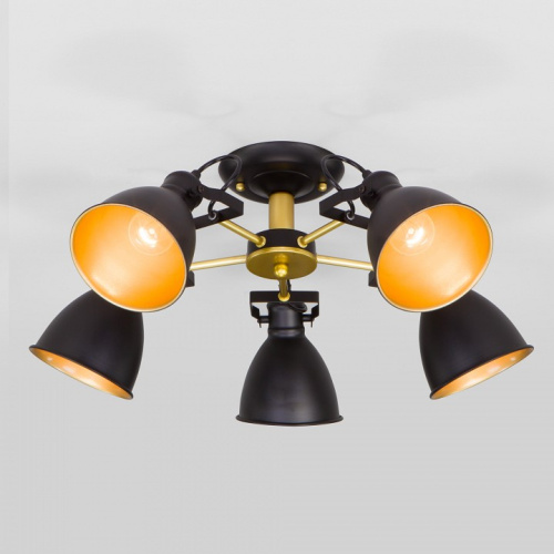 Потолочная люстра Eurosvet Denley 70112/5 черный. Фото №1