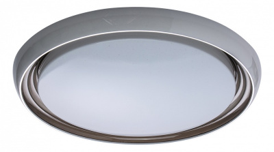 Накладной светильник MW-Light Ривз 7 674011901. Фото №2