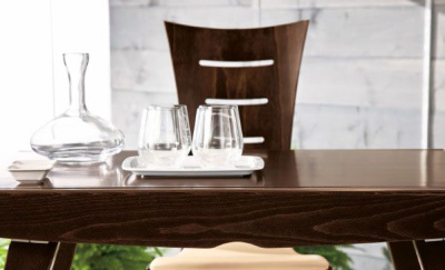 Стул  Ирис. Фото