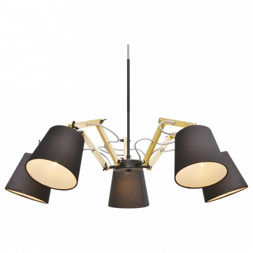 Подвесная люстра Arte Lamp Pinocchio A5700LM-5BK. Фото №1