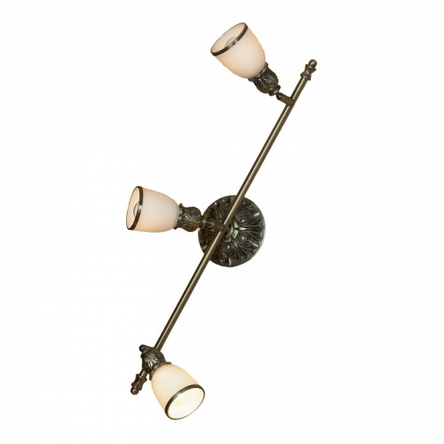 Спот Lussole Furlo GRLSL-7301-03. Фото №1