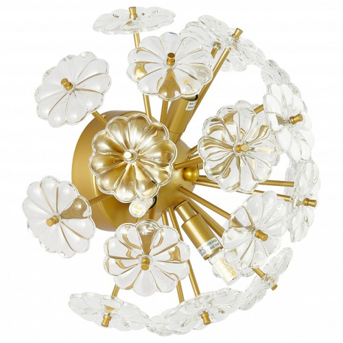 Бра Favourite Pienene 2620-4W. Фото №1