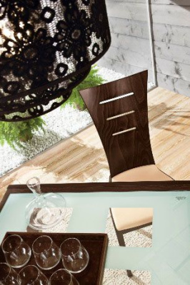 Стул  Ирис. Фото