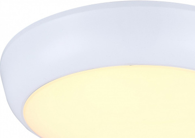 Накладной светильник Globo John 32116. Фото №2